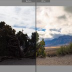 Why I’m Finally Embracing Lightroom